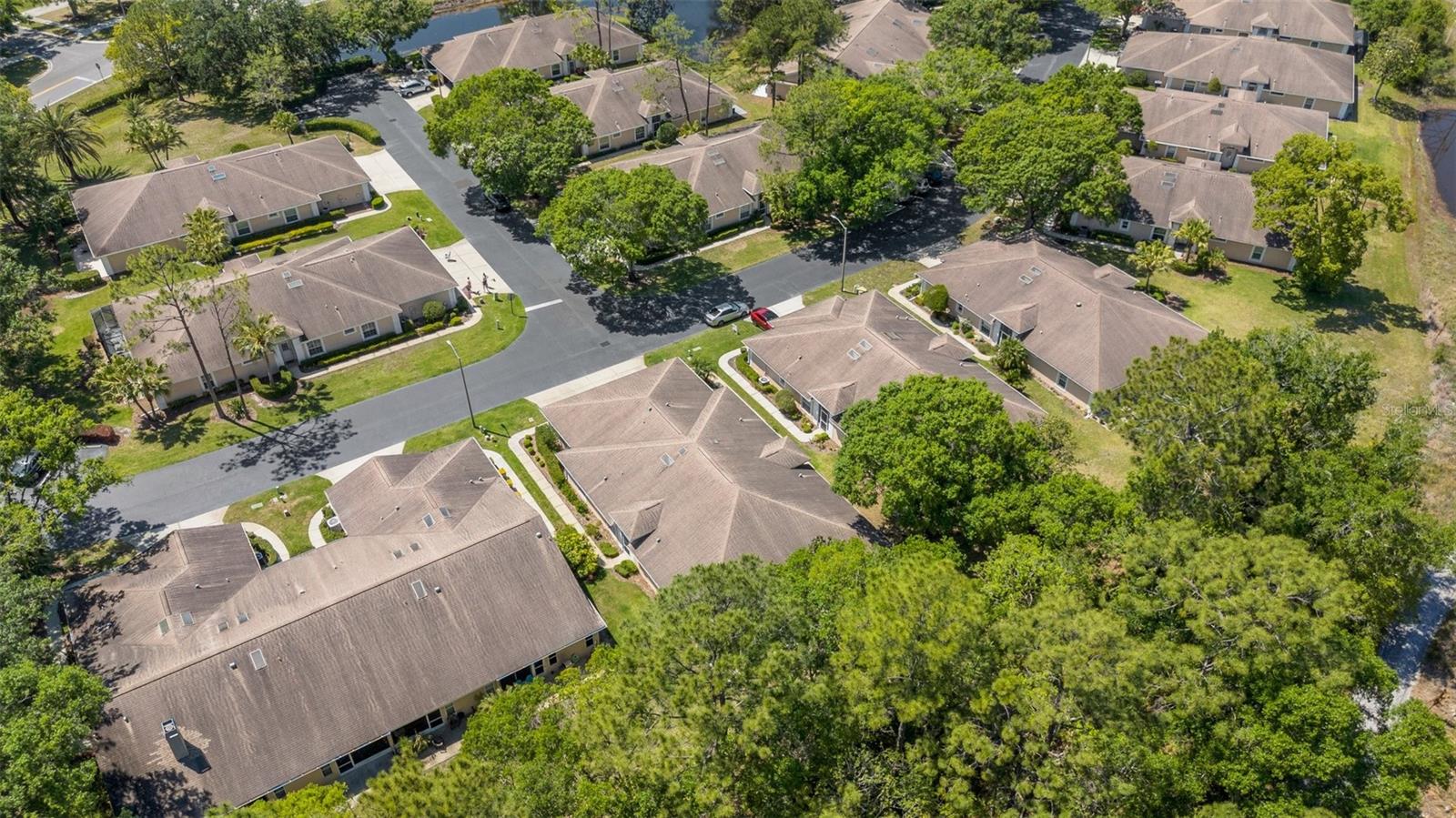 4425 CONNERY CT, PALM HARBOR, FL, 34685