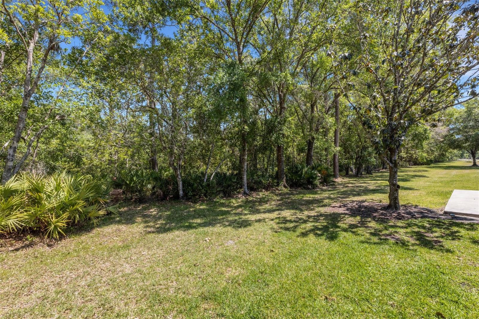 4425 CONNERY CT, PALM HARBOR, FL, 34685
