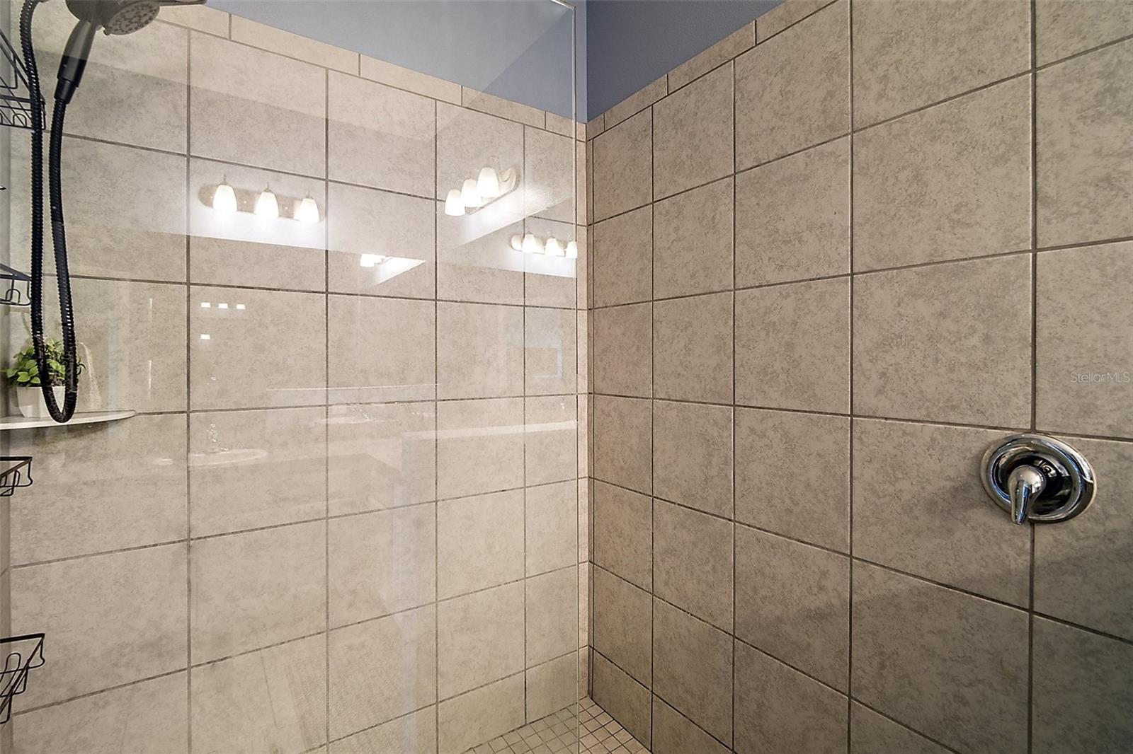 13328 LAKE YALE VIEW LOOP, GRAND ISLAND, FL, 32735