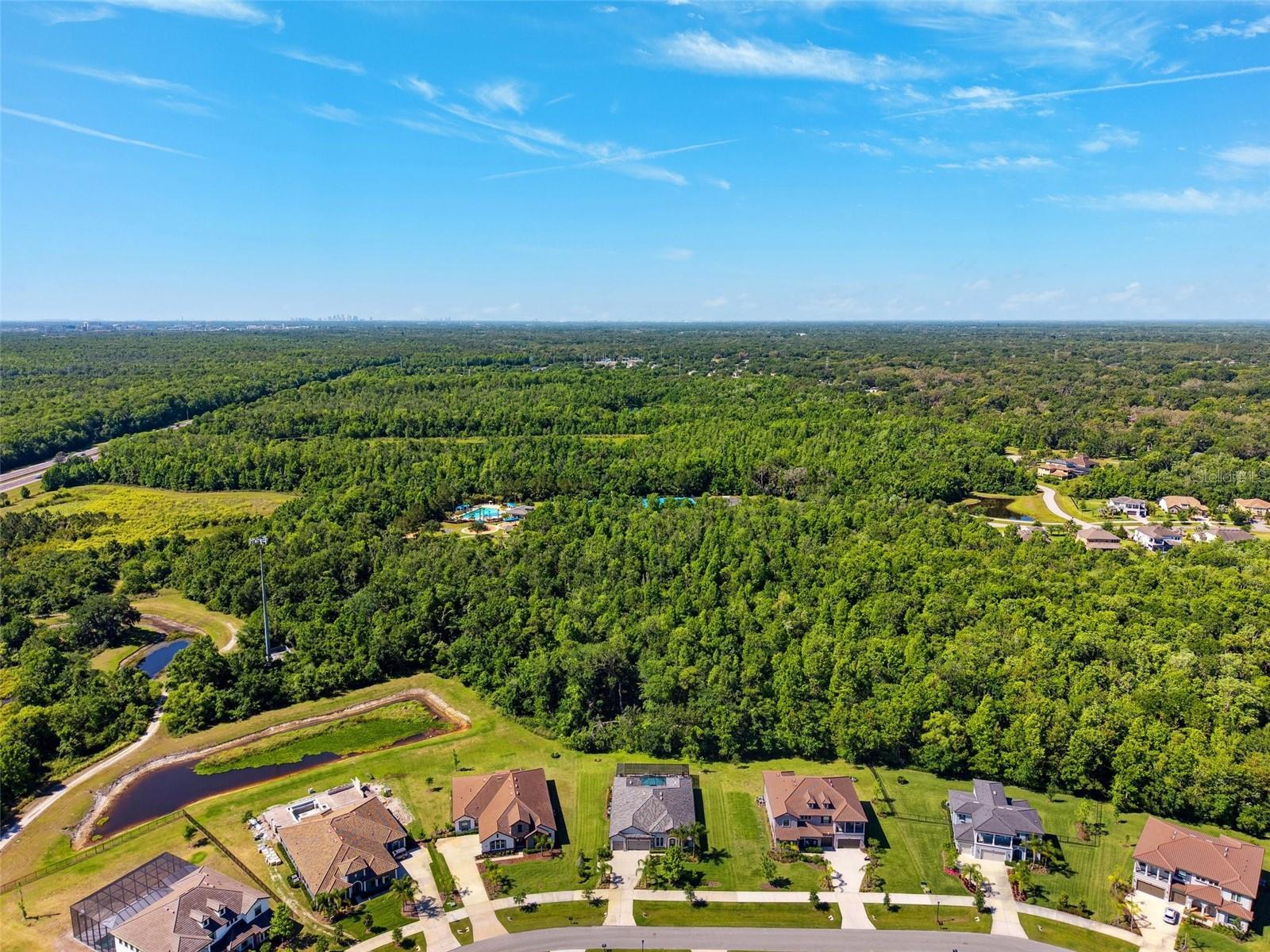 2817 CORDOBA RANCH BLVD, LUTZ, FL, 33559