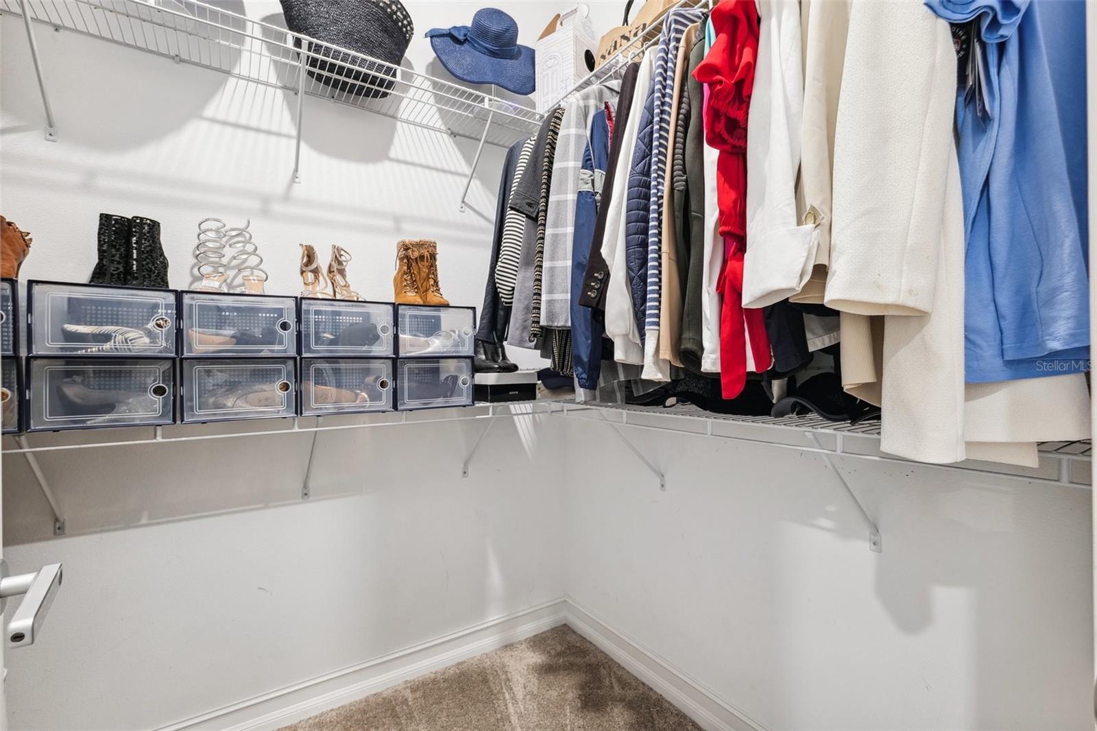 2817 CORDOBA RANCH BLVD, LUTZ, FL, 33559