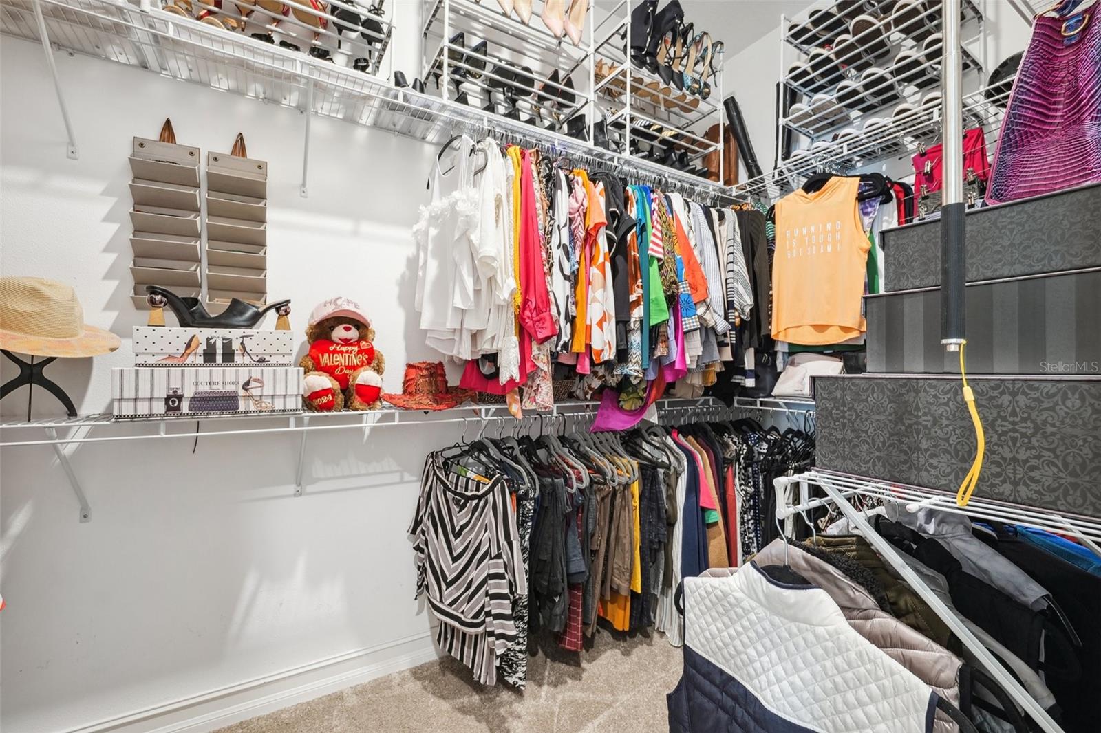 2817 CORDOBA RANCH BLVD, LUTZ, FL, 33559