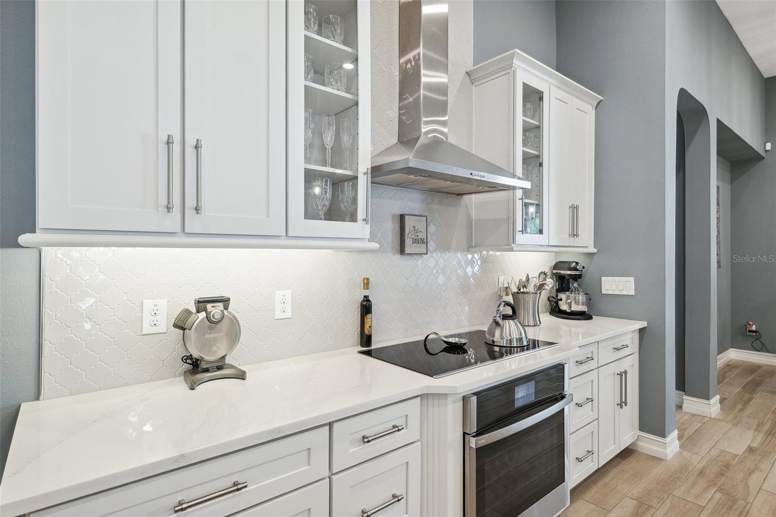 2817 CORDOBA RANCH BLVD, LUTZ, FL, 33559