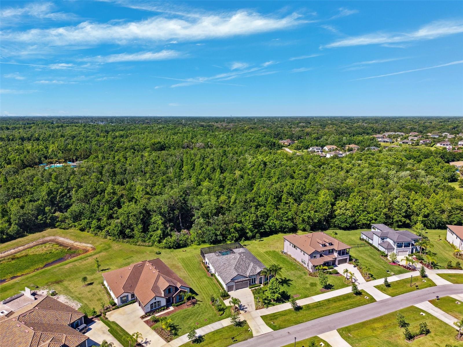 2817 CORDOBA RANCH BLVD, LUTZ, FL, 33559