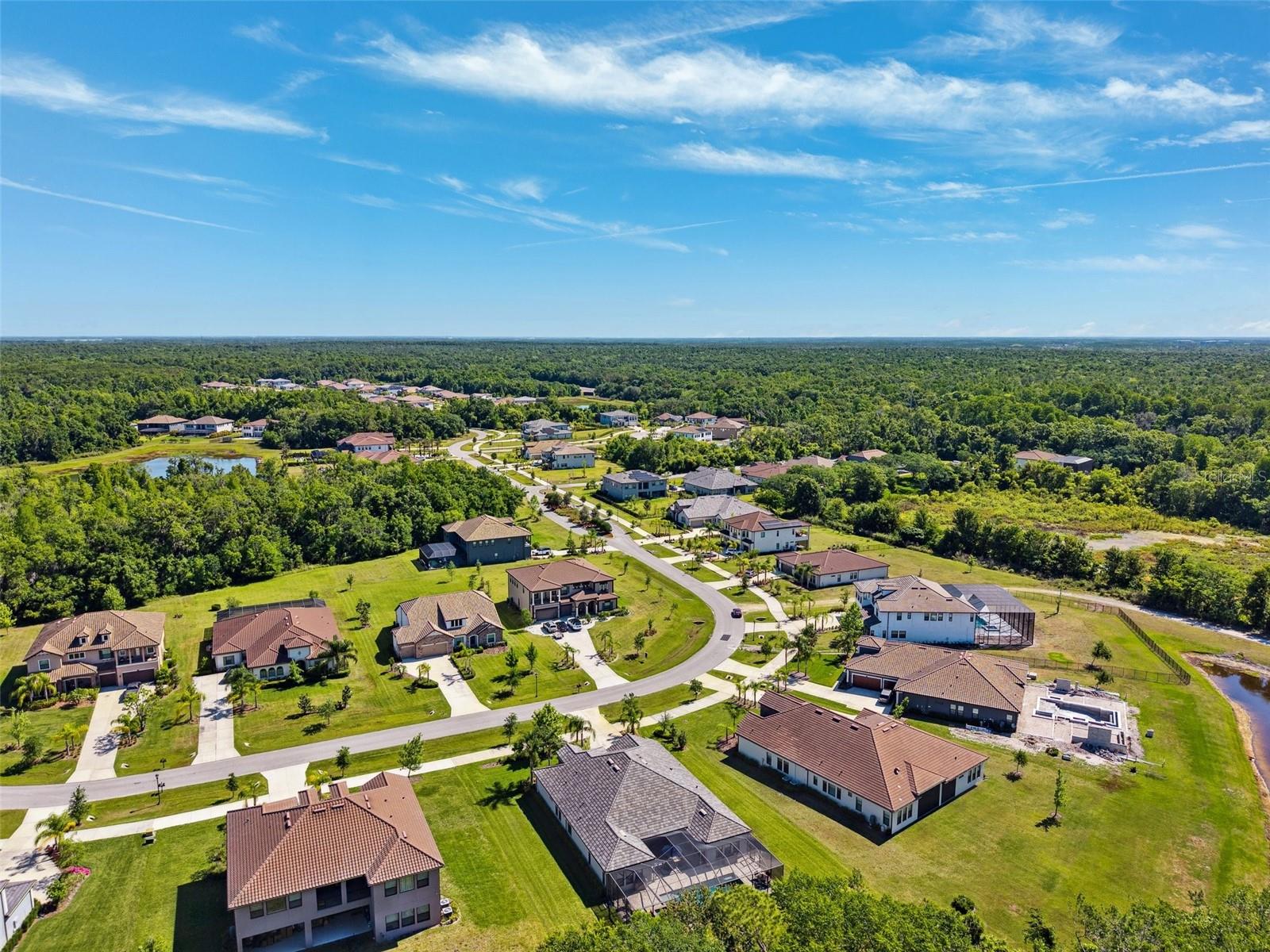 2817 CORDOBA RANCH BLVD, LUTZ, FL, 33559