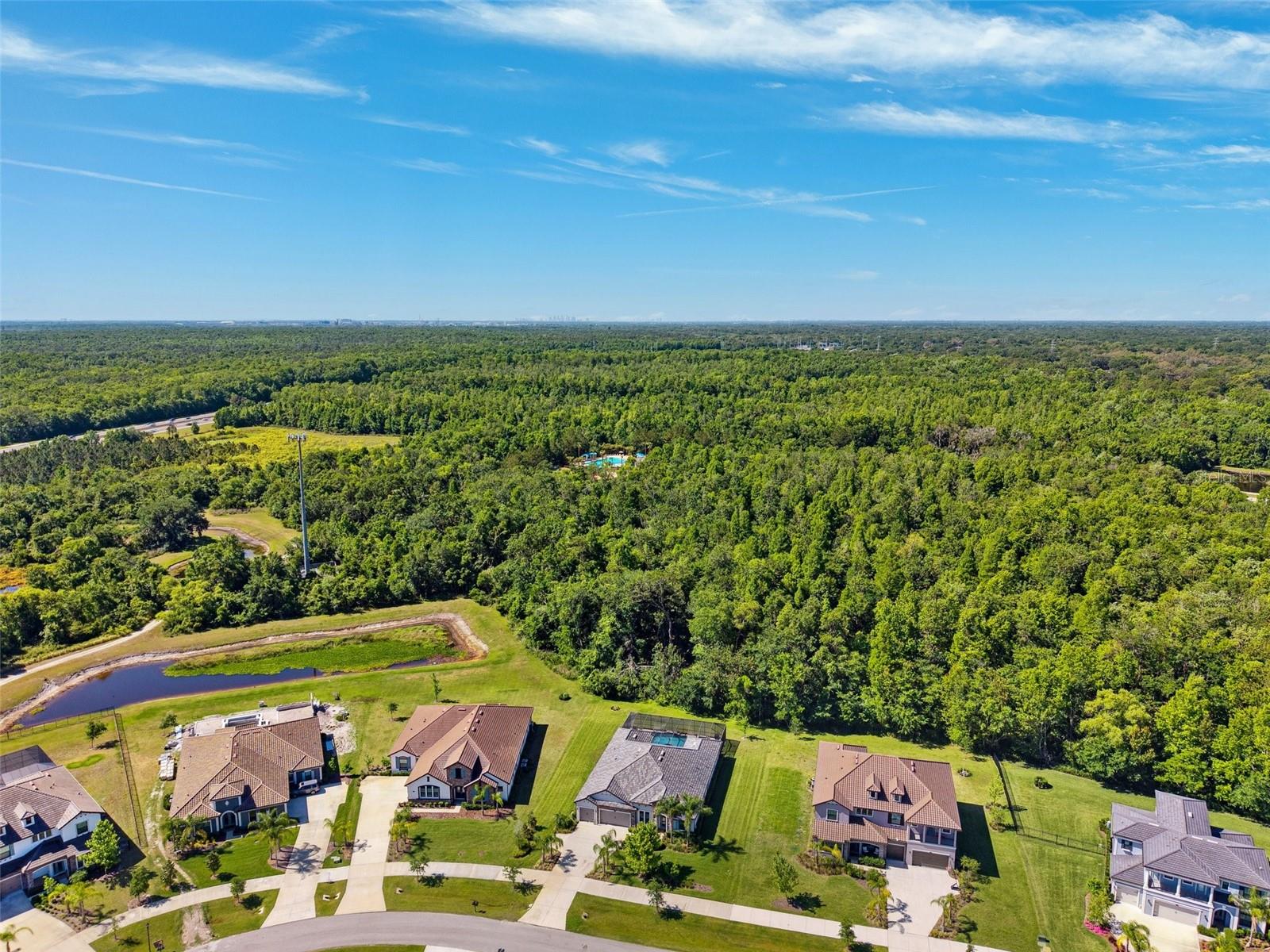 2817 CORDOBA RANCH BLVD, LUTZ, FL, 33559