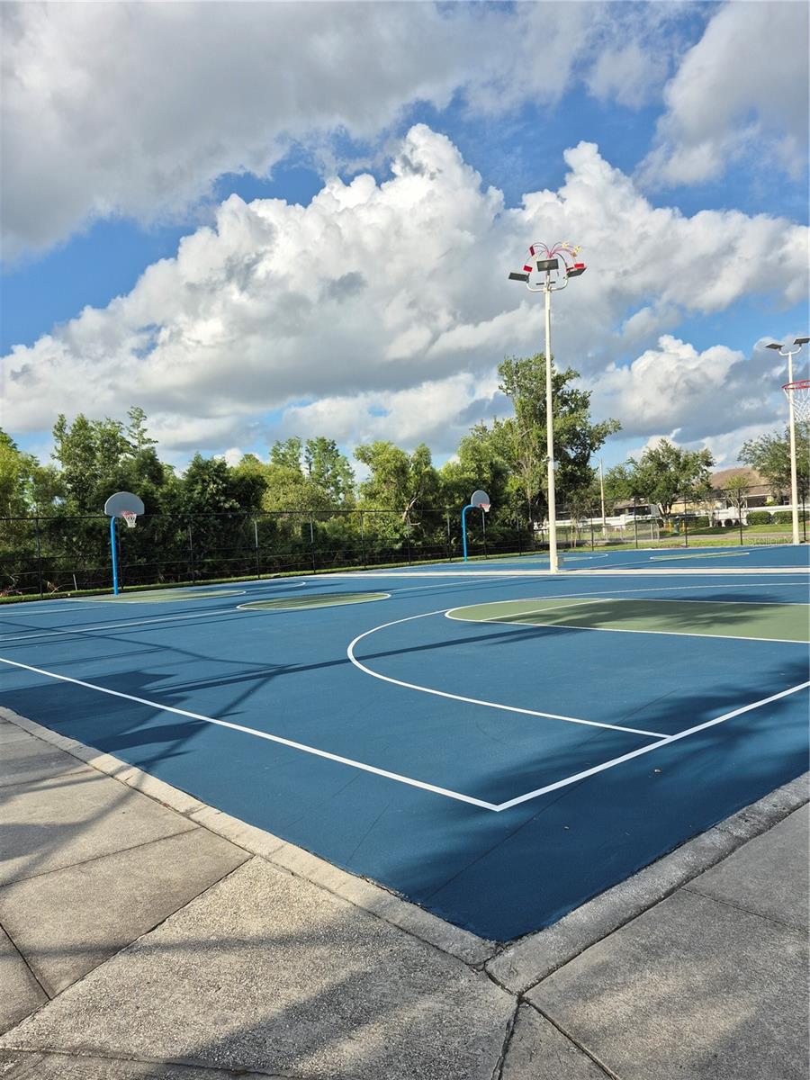 Basketball Court