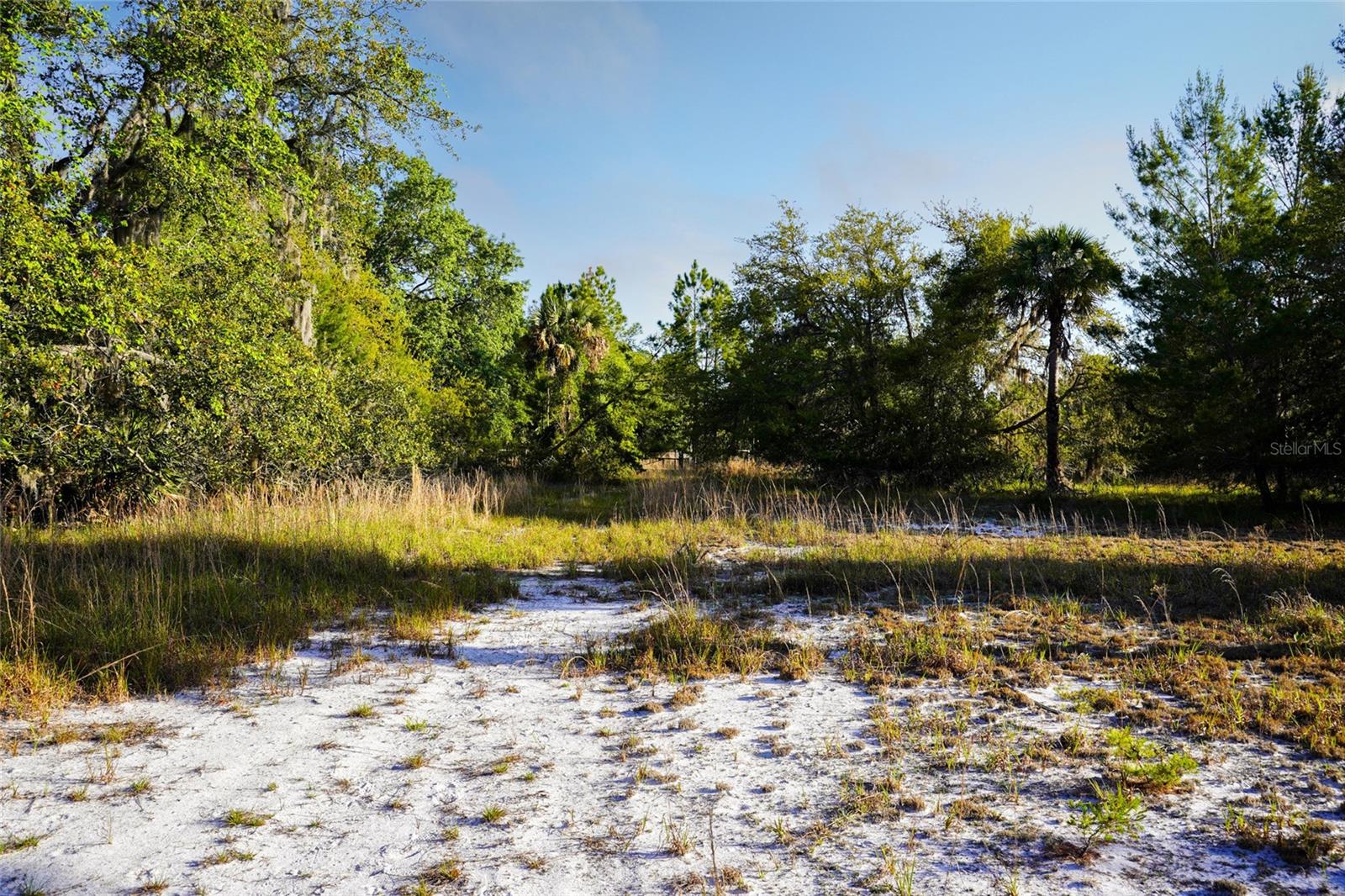 356 DRAYTON ISLAND RD, GEORGETOWN, FL, 32139