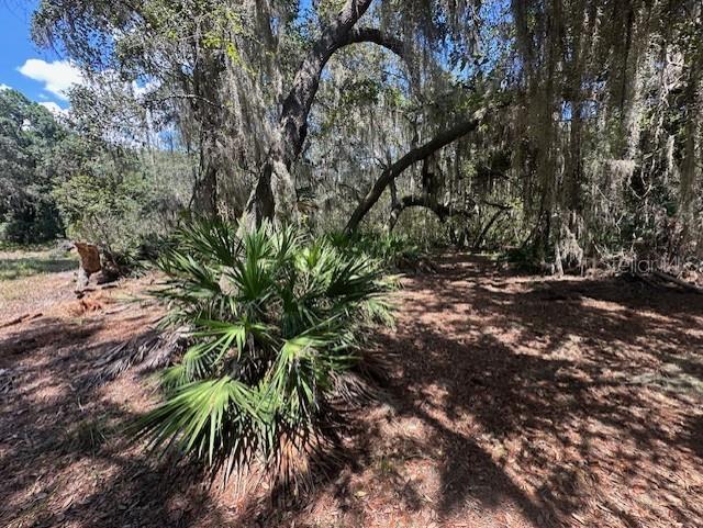 356 DRAYTON ISLAND RD, GEORGETOWN, FL, 32139