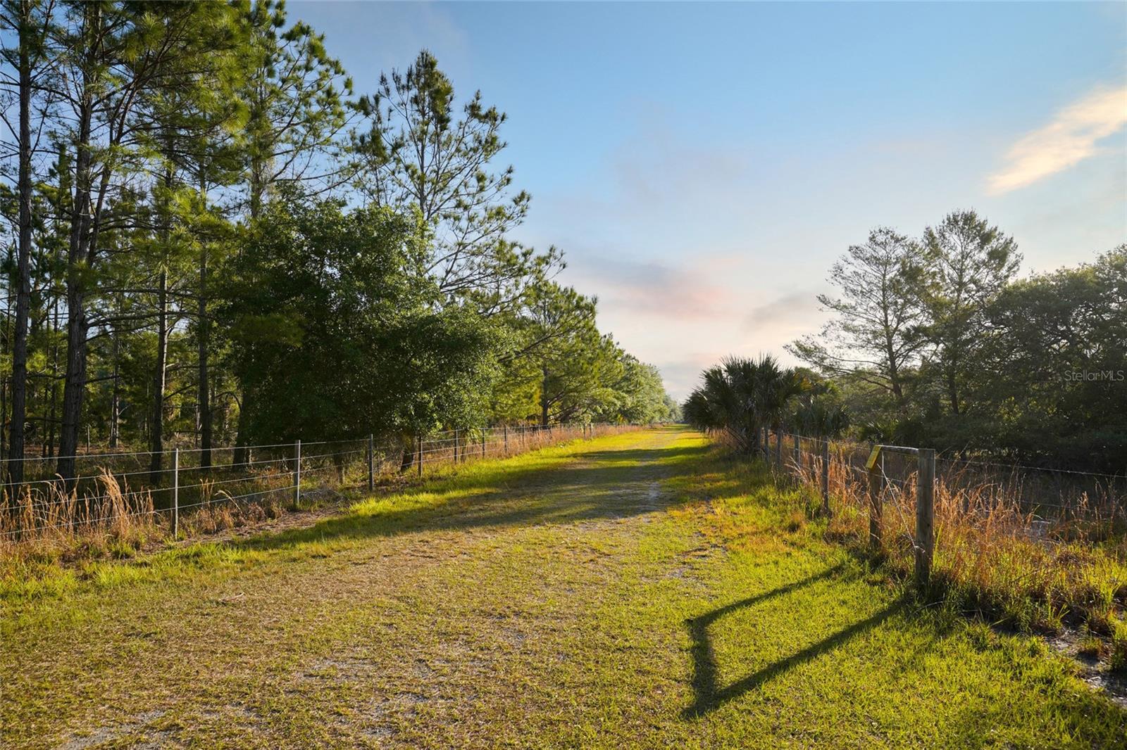 356 DRAYTON ISLAND RD, GEORGETOWN, FL, 32139