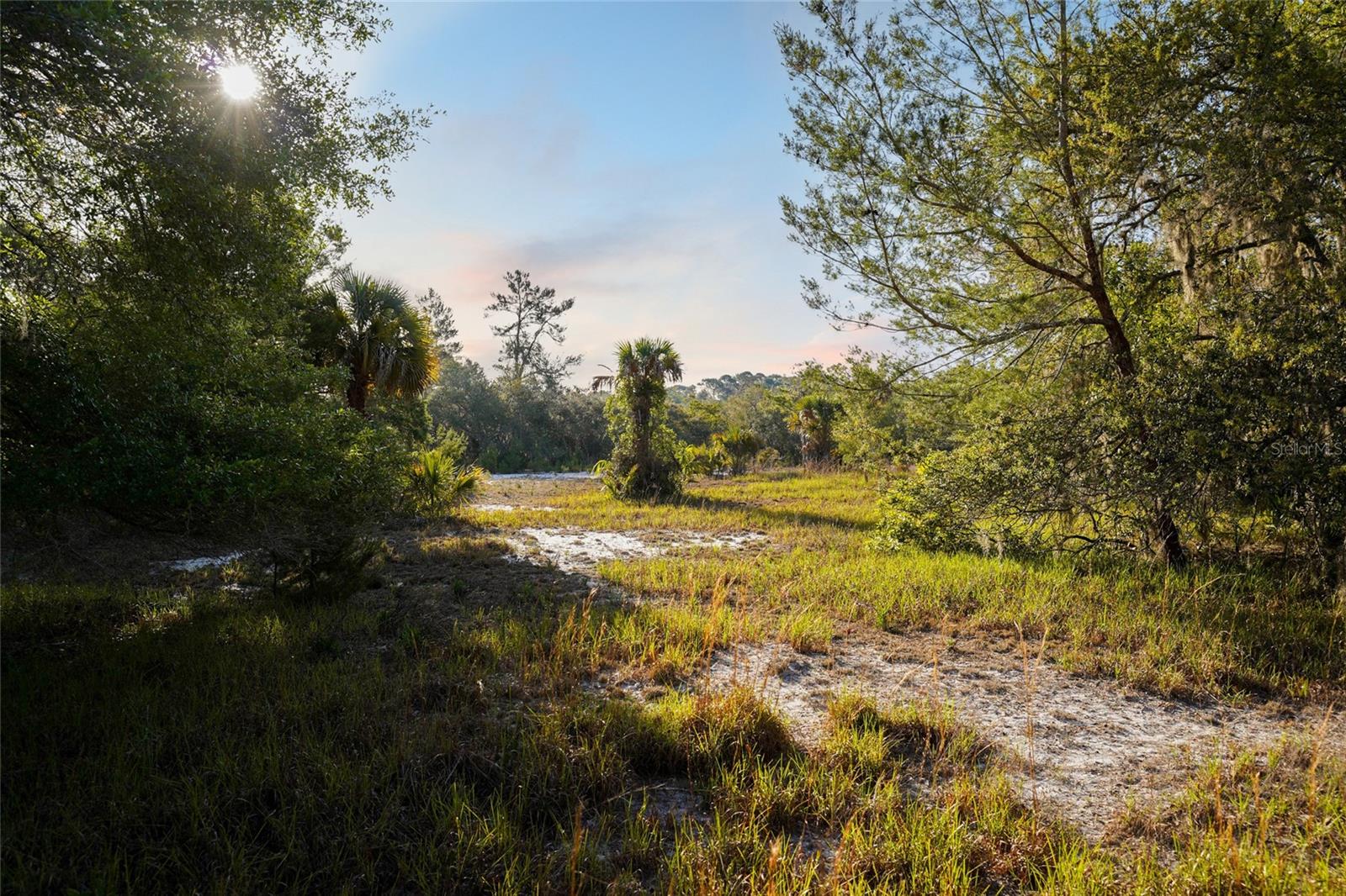 356 DRAYTON ISLAND RD, GEORGETOWN, FL, 32139