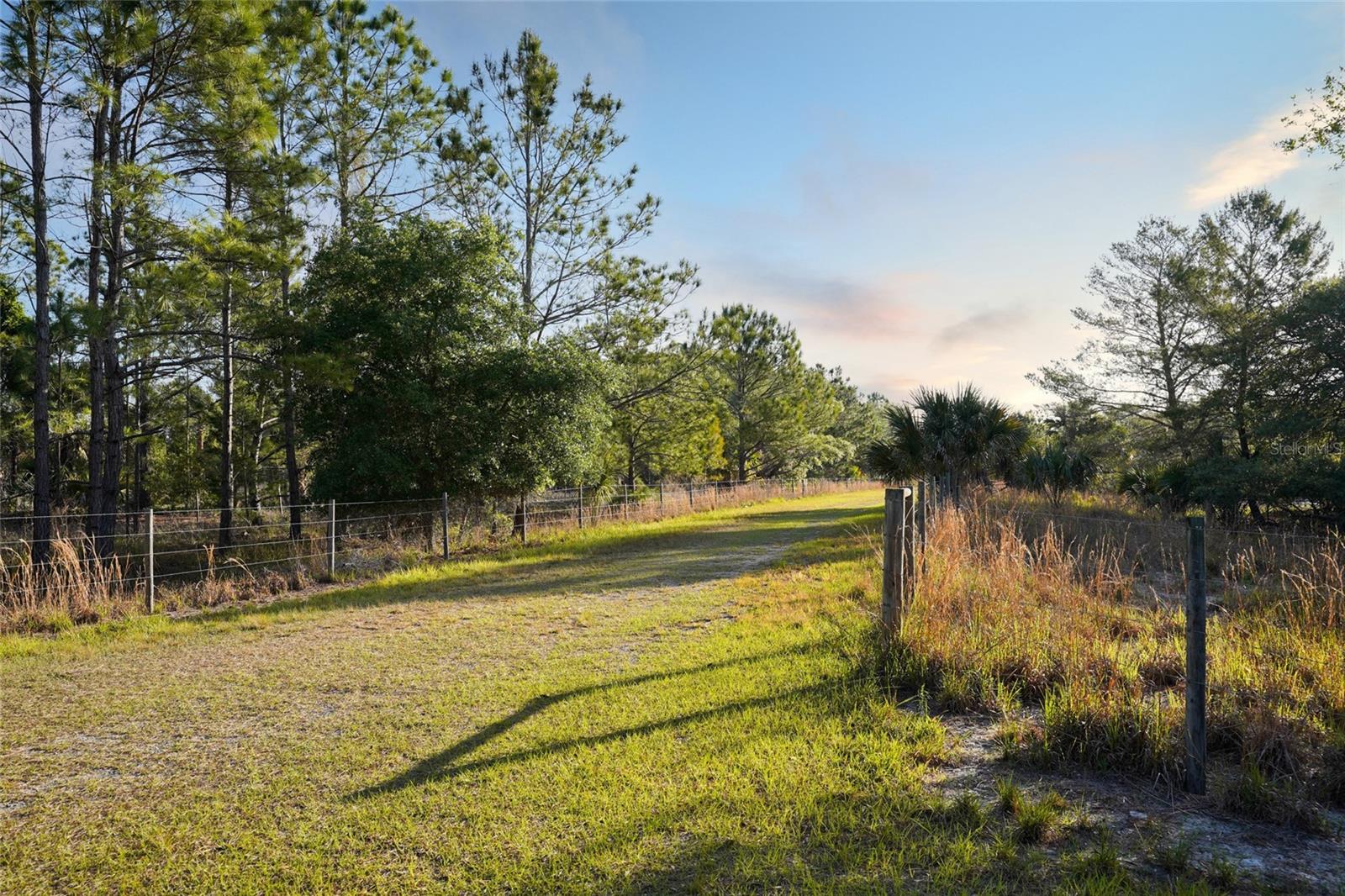 356 DRAYTON ISLAND RD, GEORGETOWN, FL, 32139