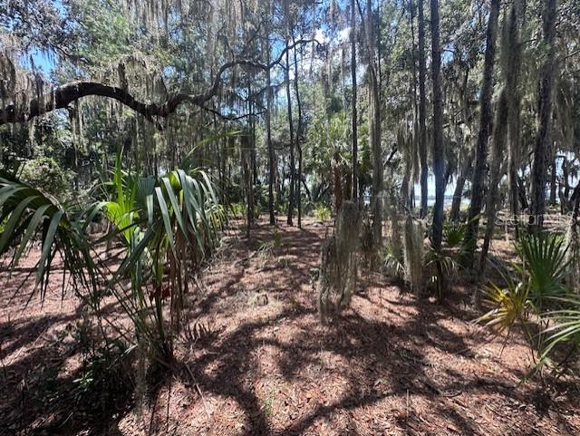 356 DRAYTON ISLAND RD, GEORGETOWN, FL, 32139