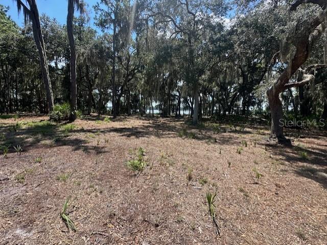 356 DRAYTON ISLAND RD, GEORGETOWN, FL, 32139