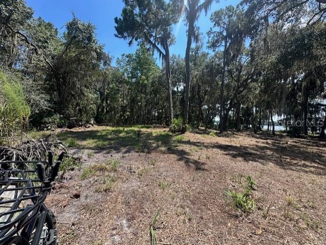 356 DRAYTON ISLAND RD, GEORGETOWN, FL, 32139