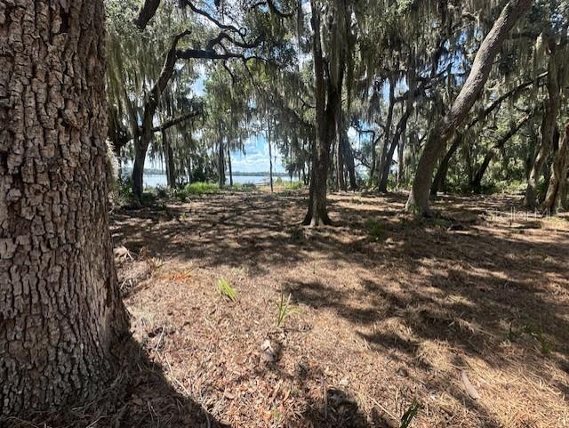 356 DRAYTON ISLAND RD, GEORGETOWN, FL, 32139