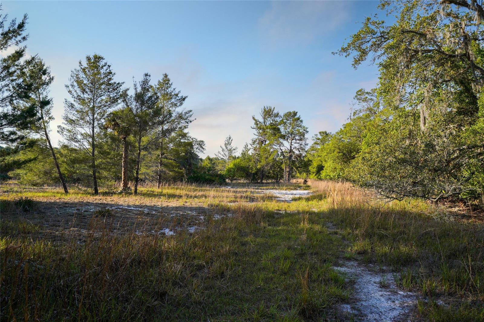 356 DRAYTON ISLAND RD, GEORGETOWN, FL, 32139