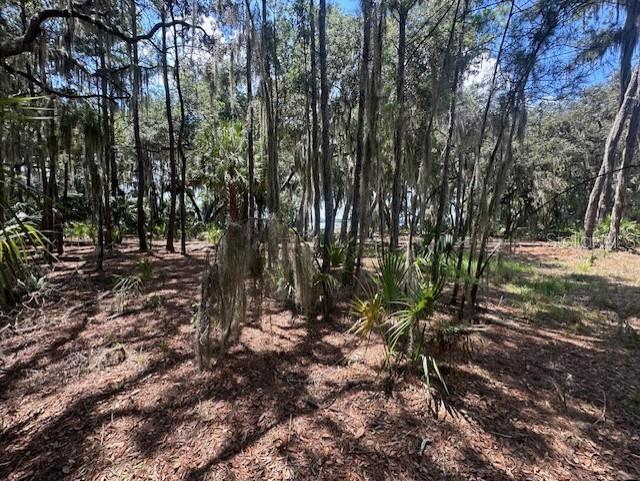 356 DRAYTON ISLAND RD, GEORGETOWN, FL, 32139