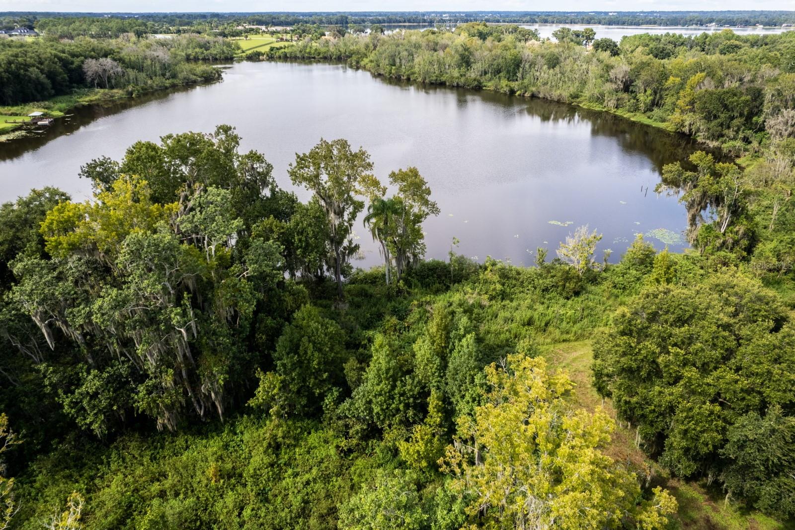 17943 COUNTY ROAD 448 (SADLER), MOUNT DORA, FL, 32757