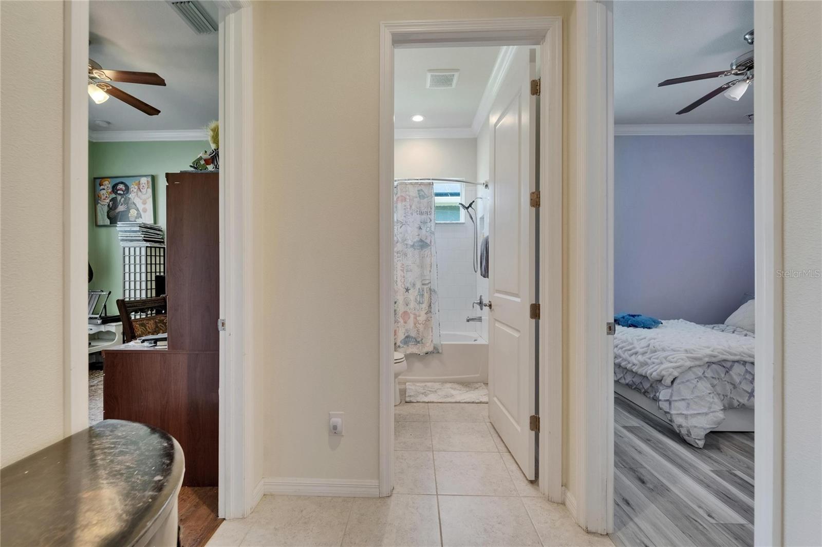 13622 TONYA ANNE DR, RIVERVIEW, FL, 33579