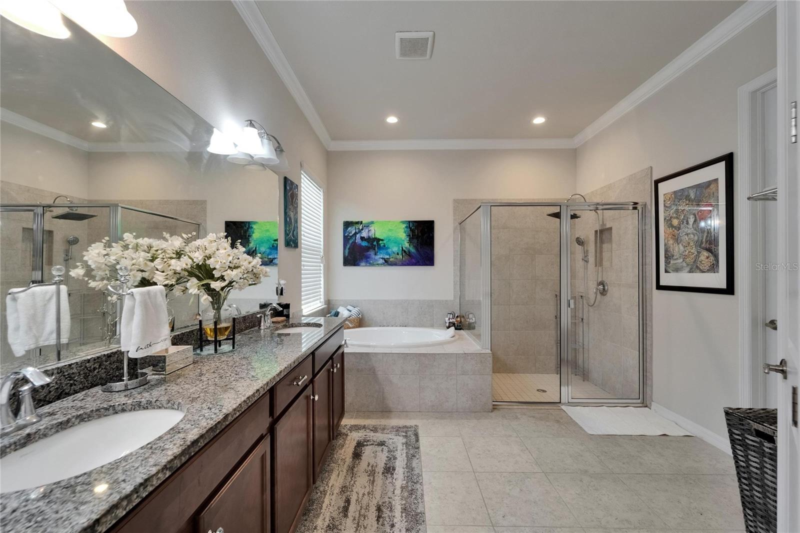 13622 TONYA ANNE DR, RIVERVIEW, FL, 33579