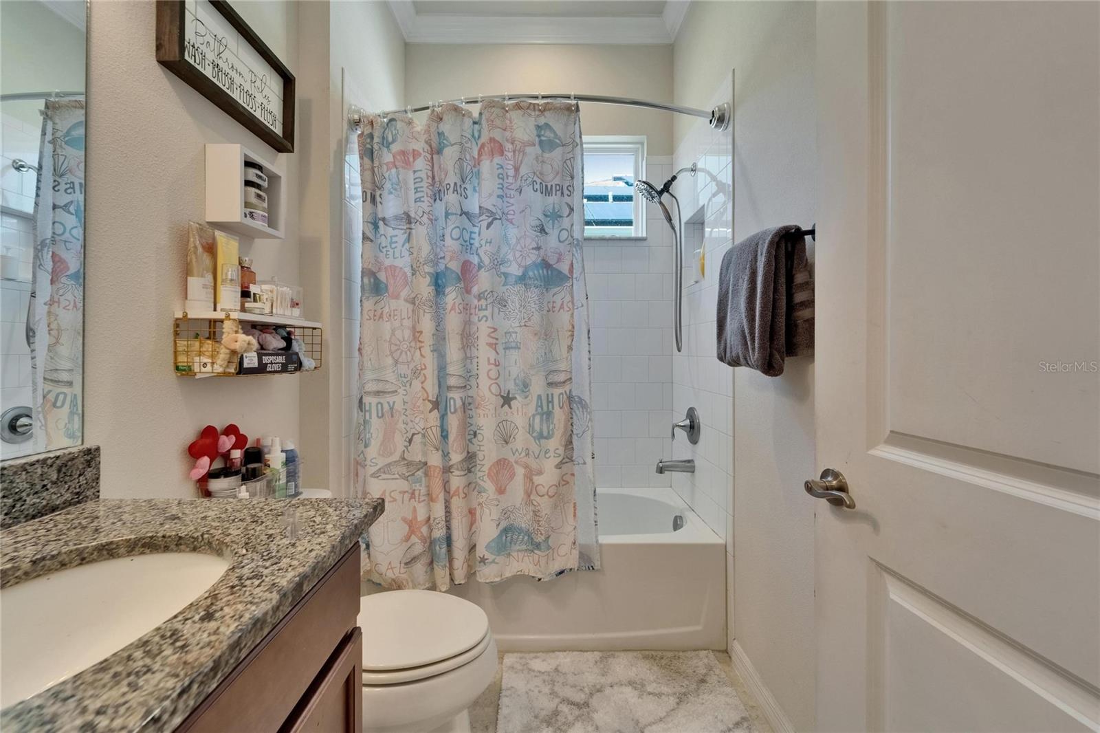 13622 TONYA ANNE DR, RIVERVIEW, FL, 33579