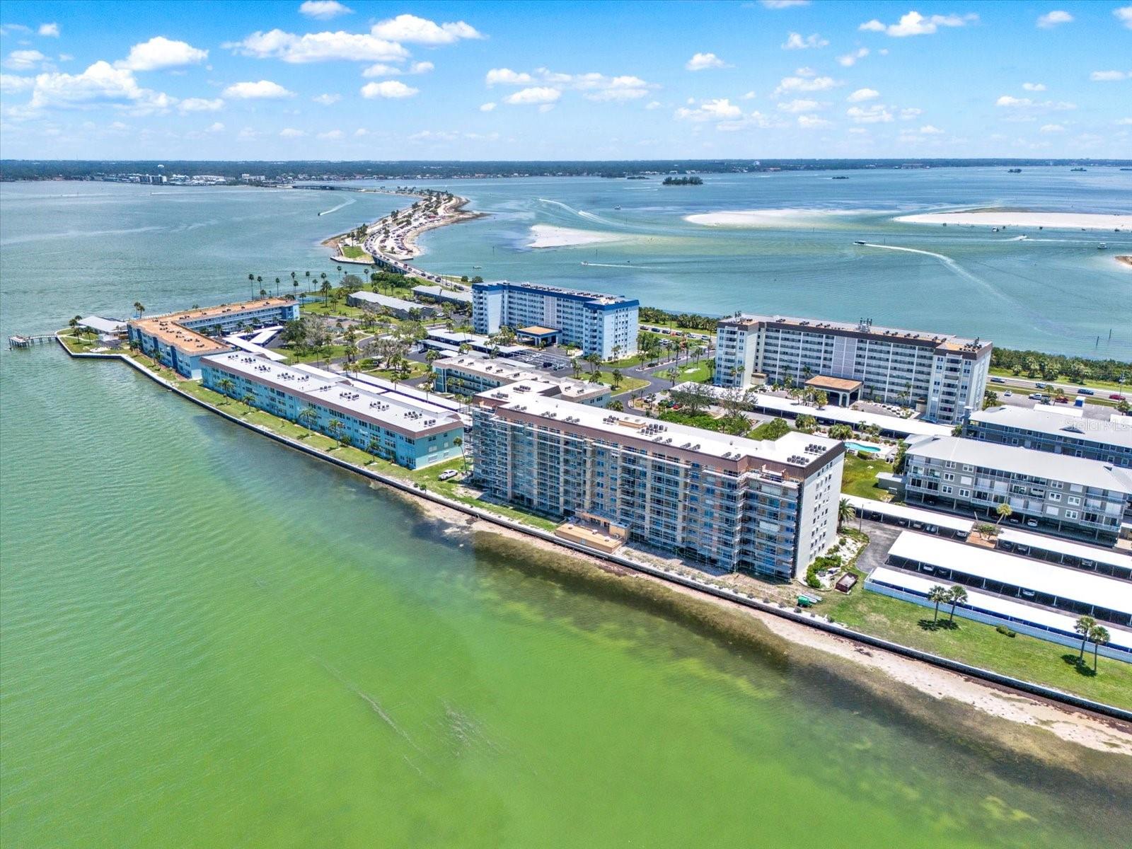 9 HAIG PL #510, DUNEDIN, FL, 34698