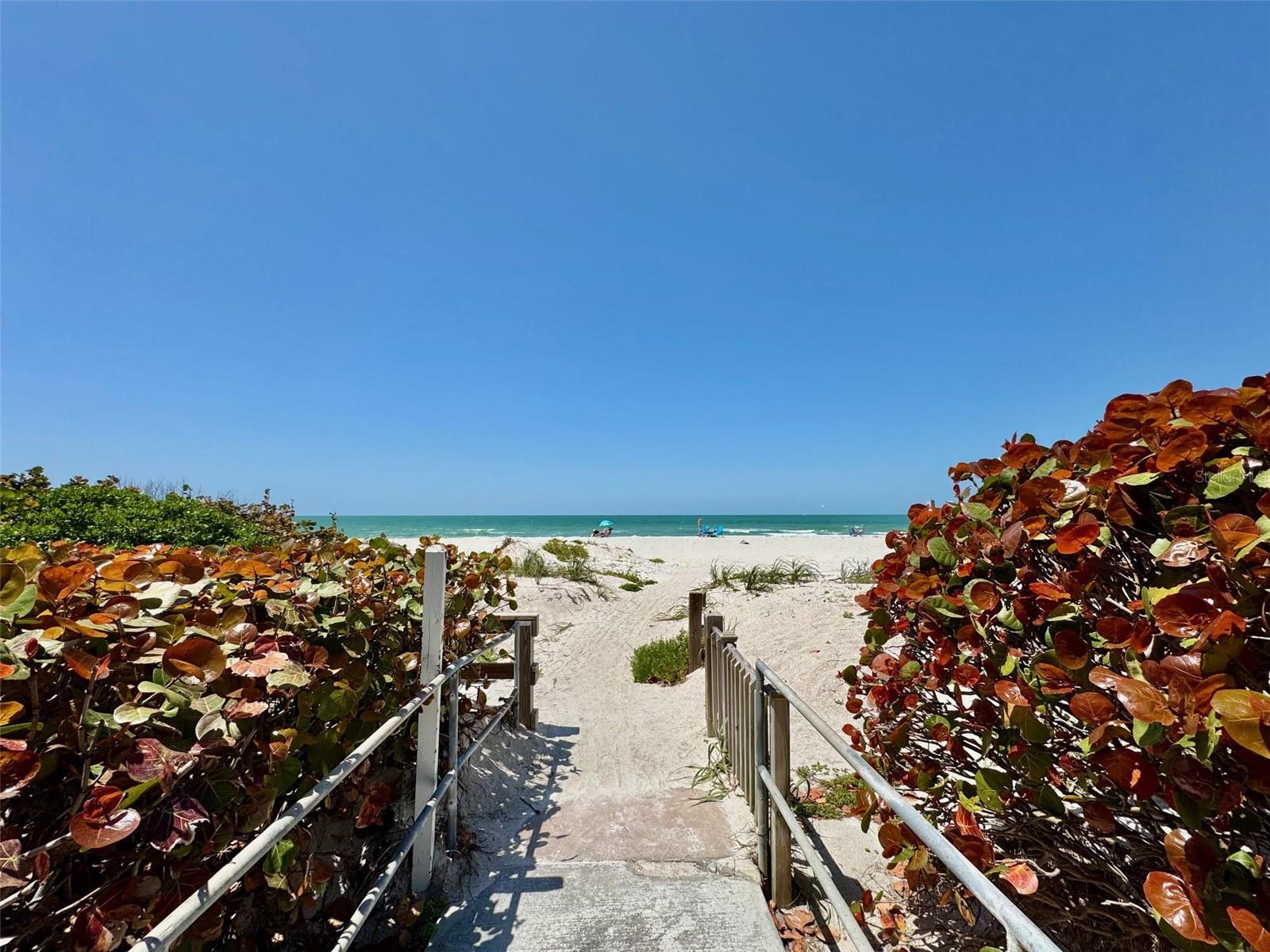 1451 GULF BLVD #117, CLEARWATER BEACH, FL, 33767