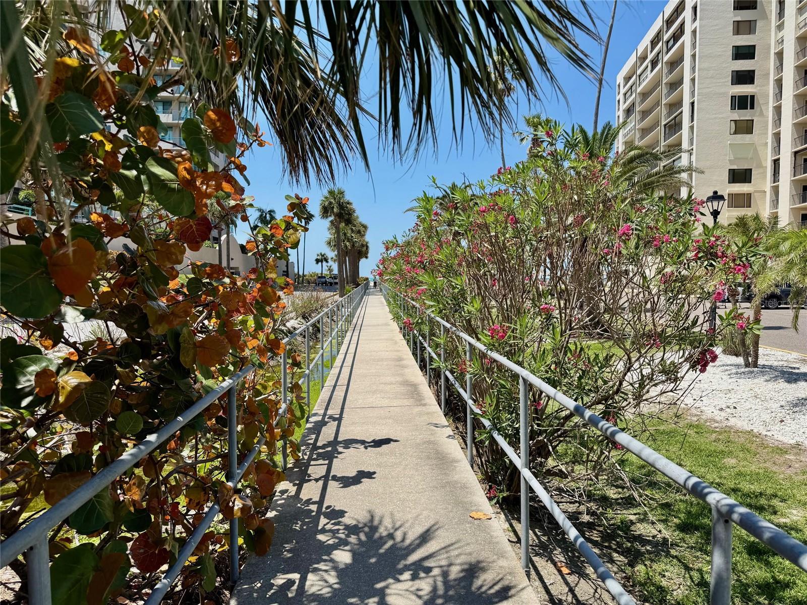 1451 GULF BLVD #117, CLEARWATER BEACH, FL, 33767