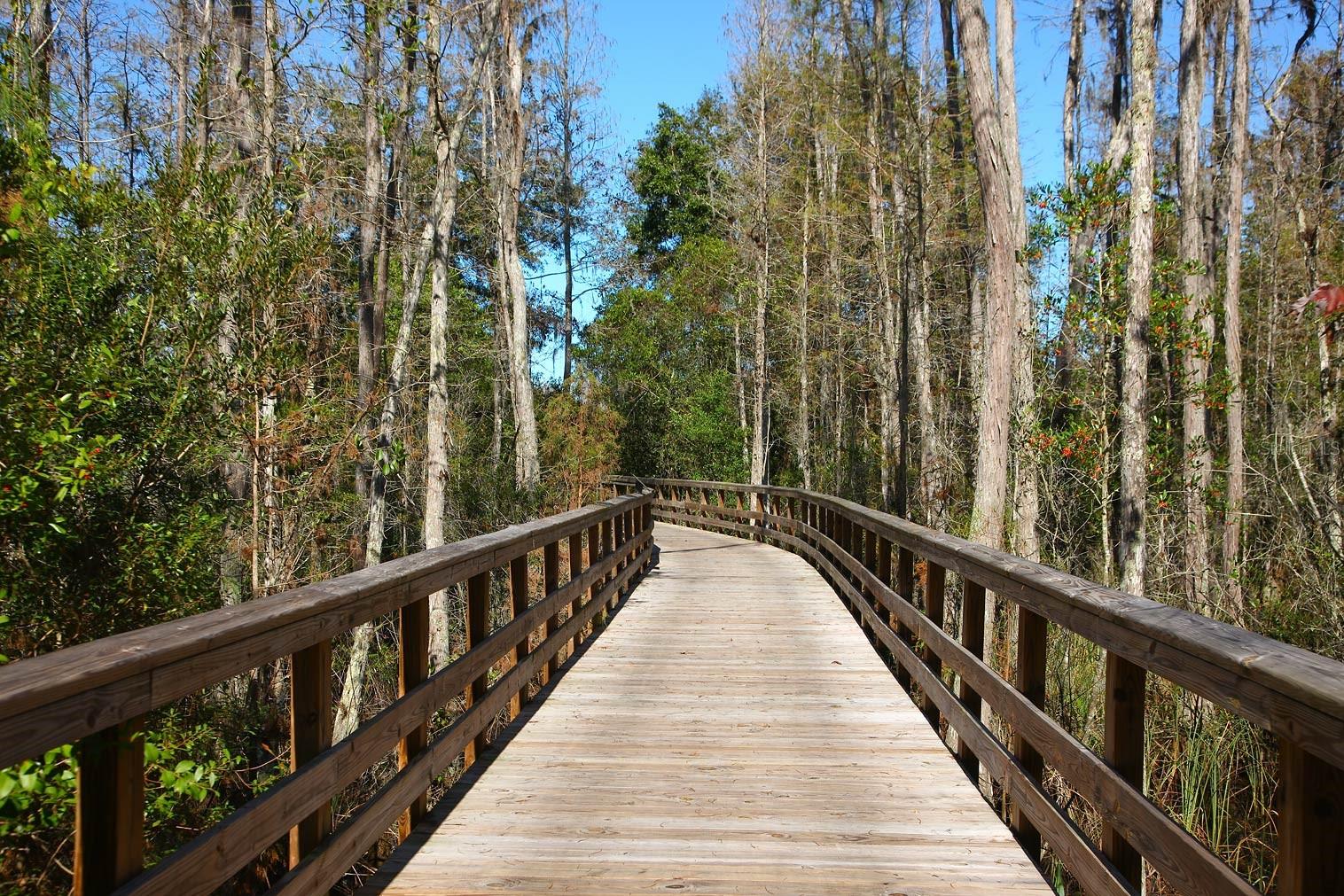 9451 RAISED TULIP LN, LAND O LAKES, FL, 34637