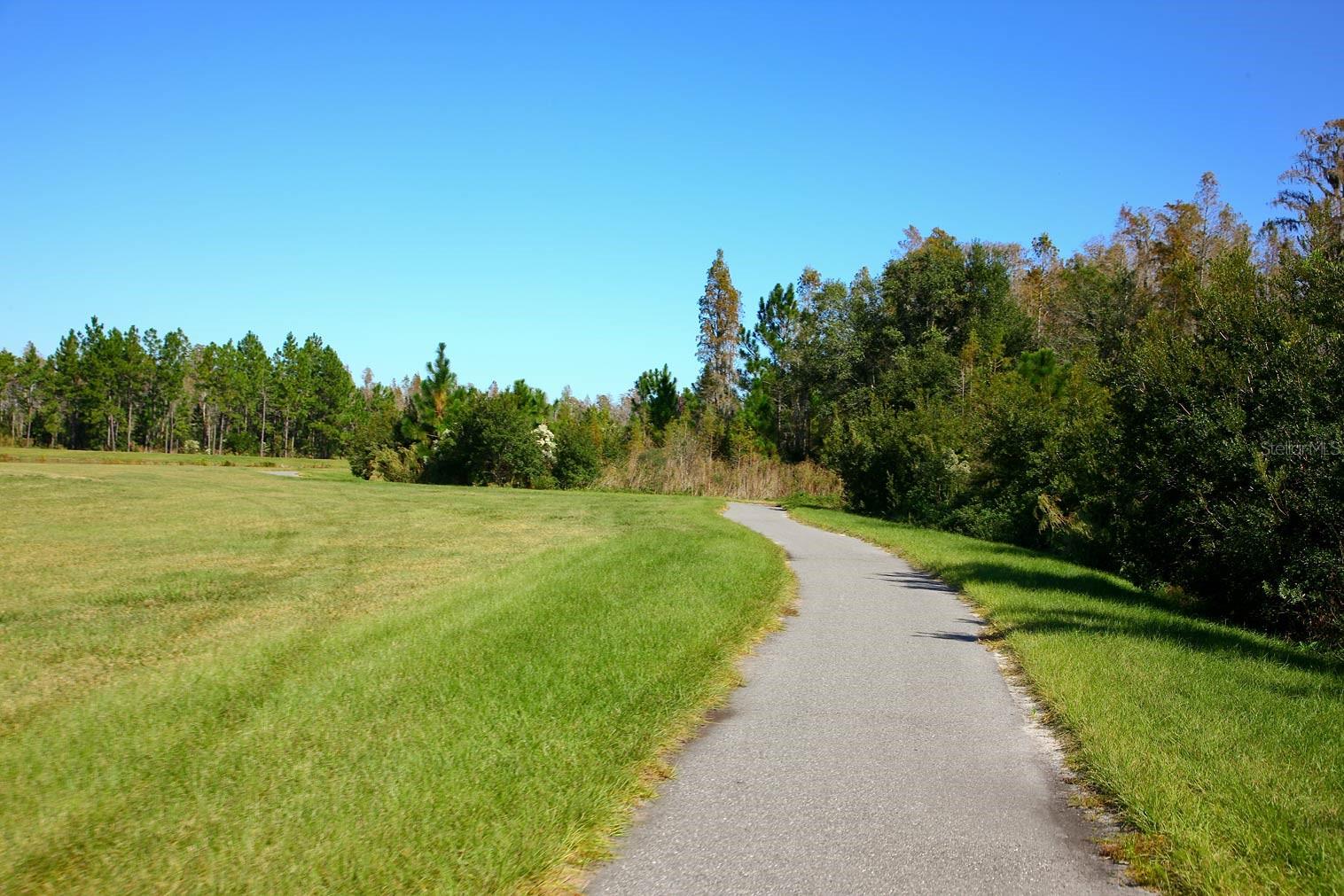 9451 RAISED TULIP LN, LAND O LAKES, FL, 34637