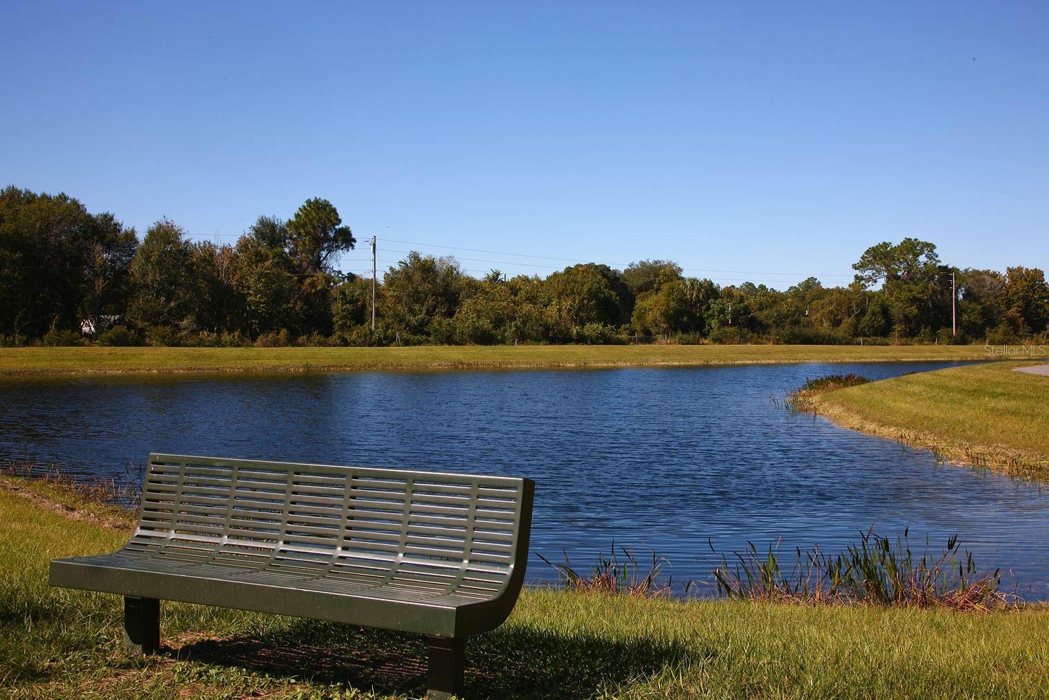 9451 RAISED TULIP LN, LAND O LAKES, FL, 34637