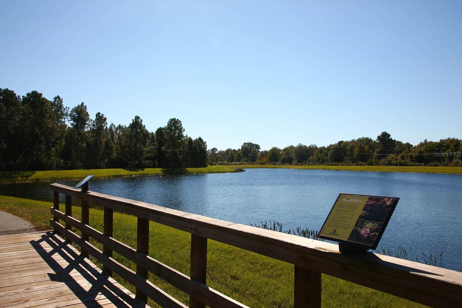 9451 RAISED TULIP LN, LAND O LAKES, FL, 34637