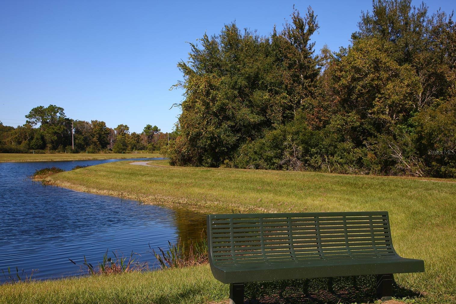 9451 RAISED TULIP LN, LAND O LAKES, FL, 34637