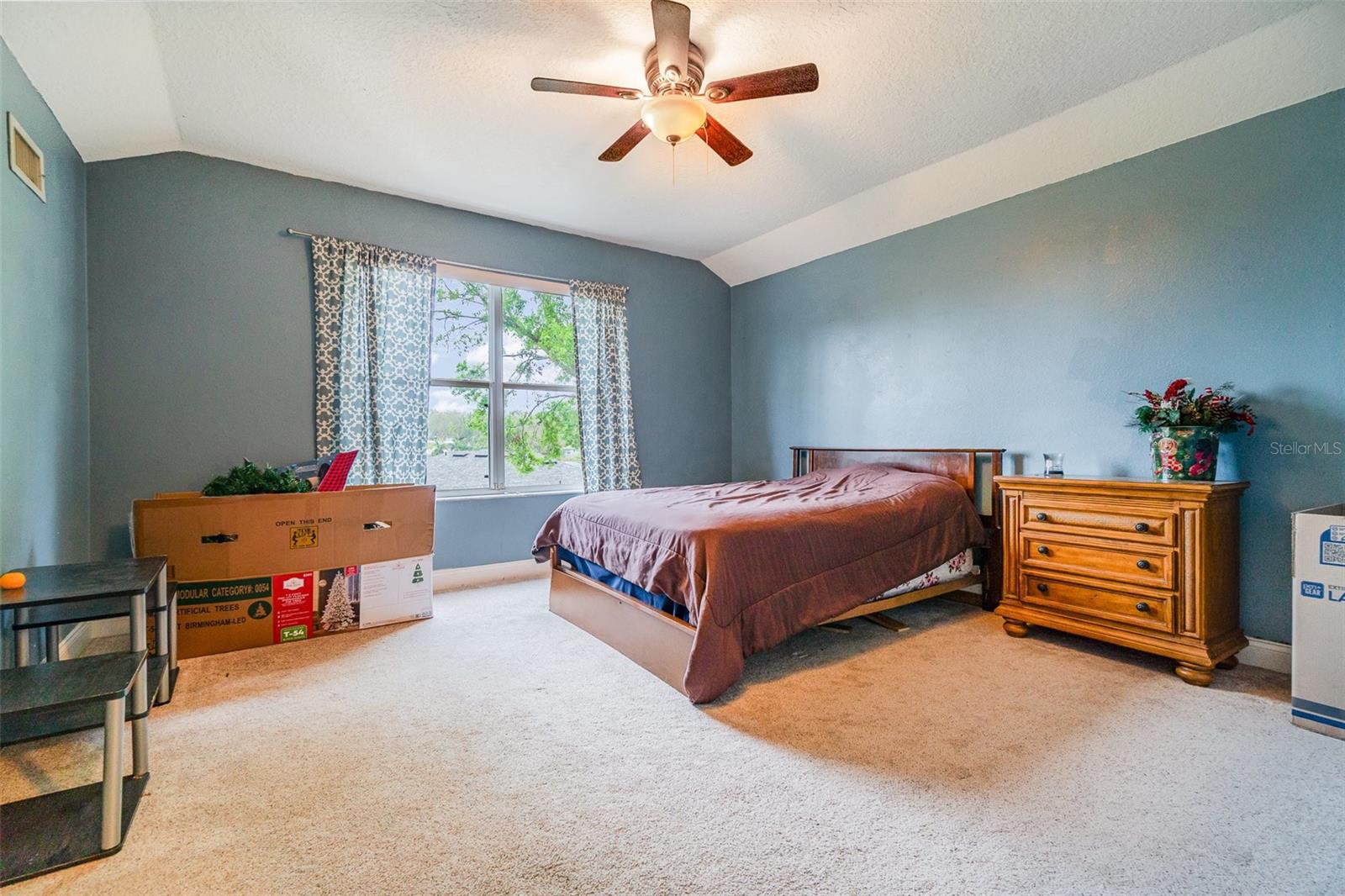 11341 ALAMEDA SANDRA DR, CLERMONT, FL, 34711