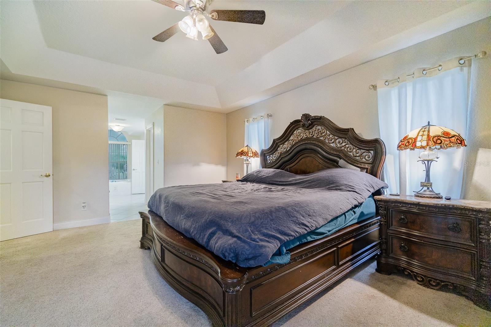 11341 ALAMEDA SANDRA DR, CLERMONT, FL, 34711