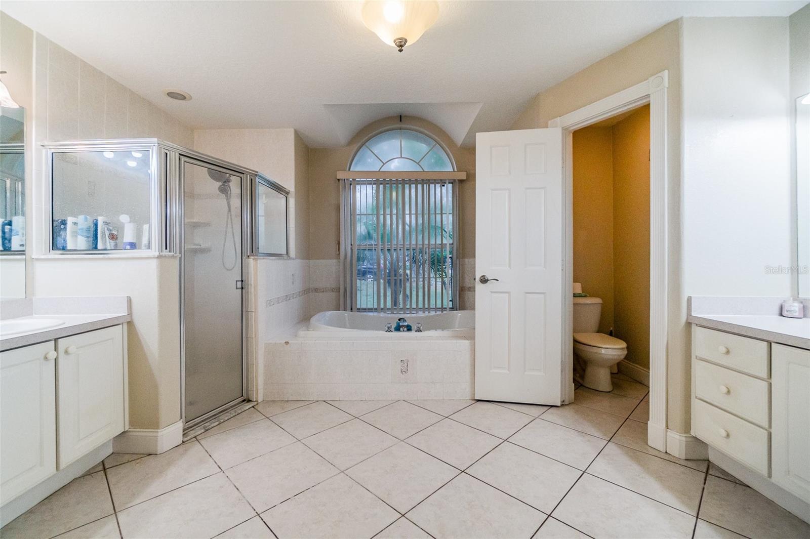 11341 ALAMEDA SANDRA DR, CLERMONT, FL, 34711