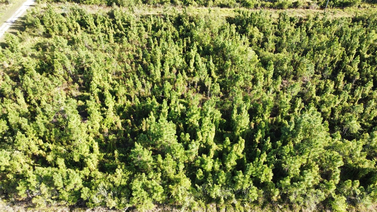 22 LAGUNA DR, INDIAN LAKE ESTATES, FL, 33855