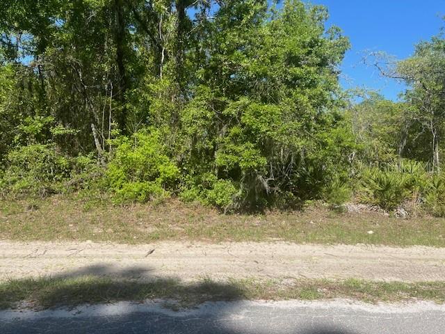 SW 59TH CT, OCALA, FL, 34473