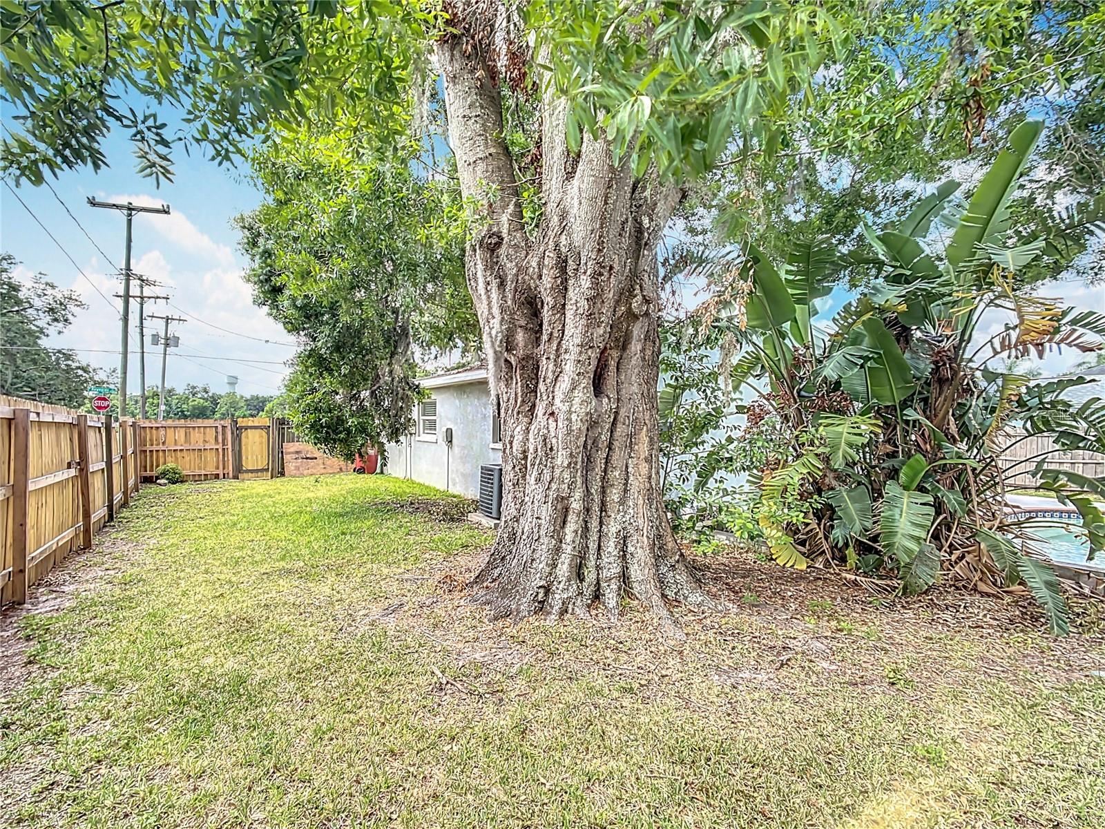 3702 W REYNOLDS ST, PLANT CITY, FL, 33563