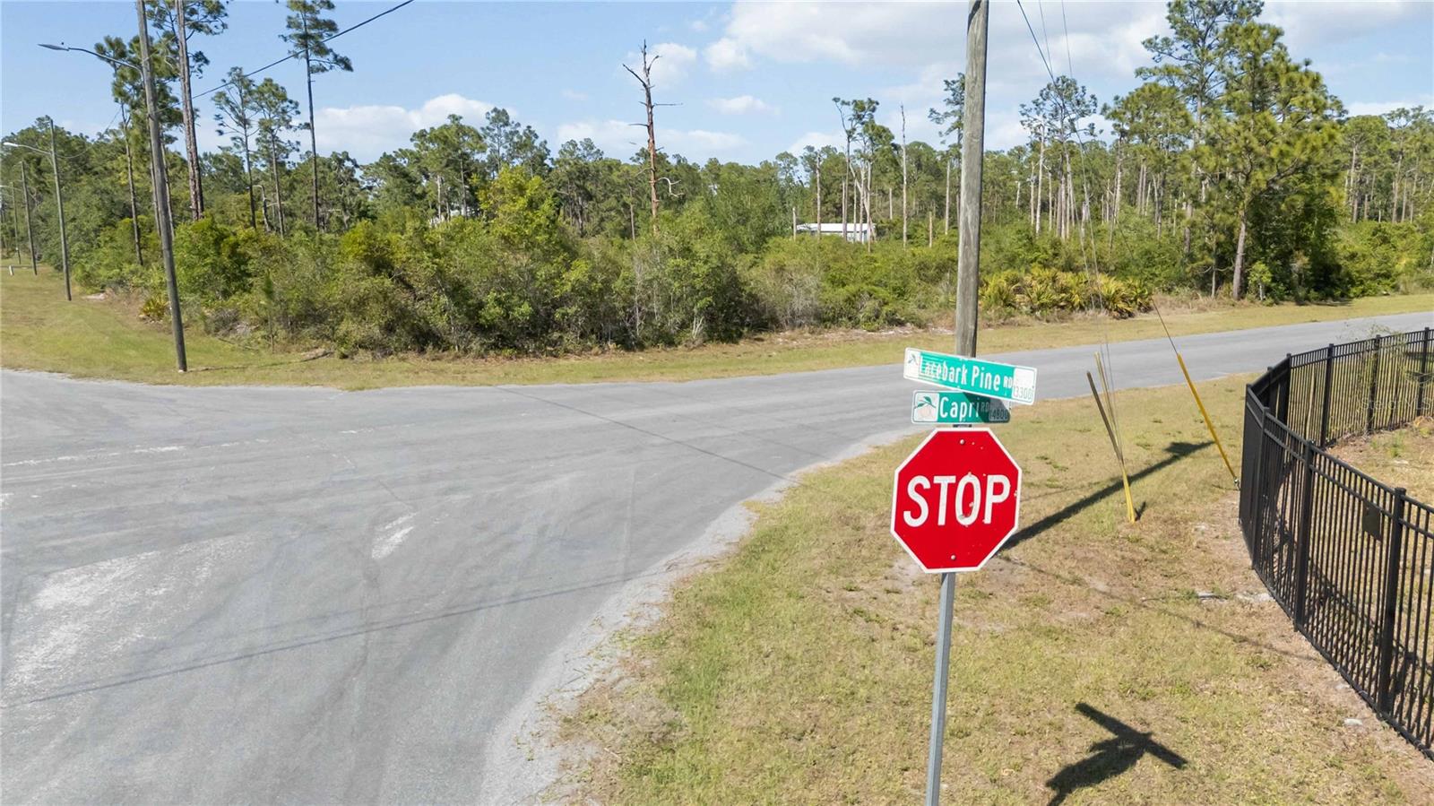 13227 LACEBARK PINE RD, ORLANDO, FL, 32832