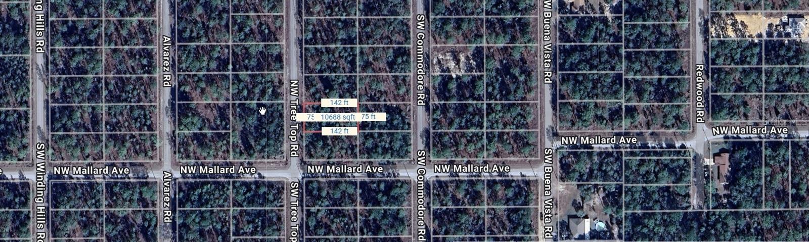 NW TREE TOP, DUNNELLON, FL, 34431