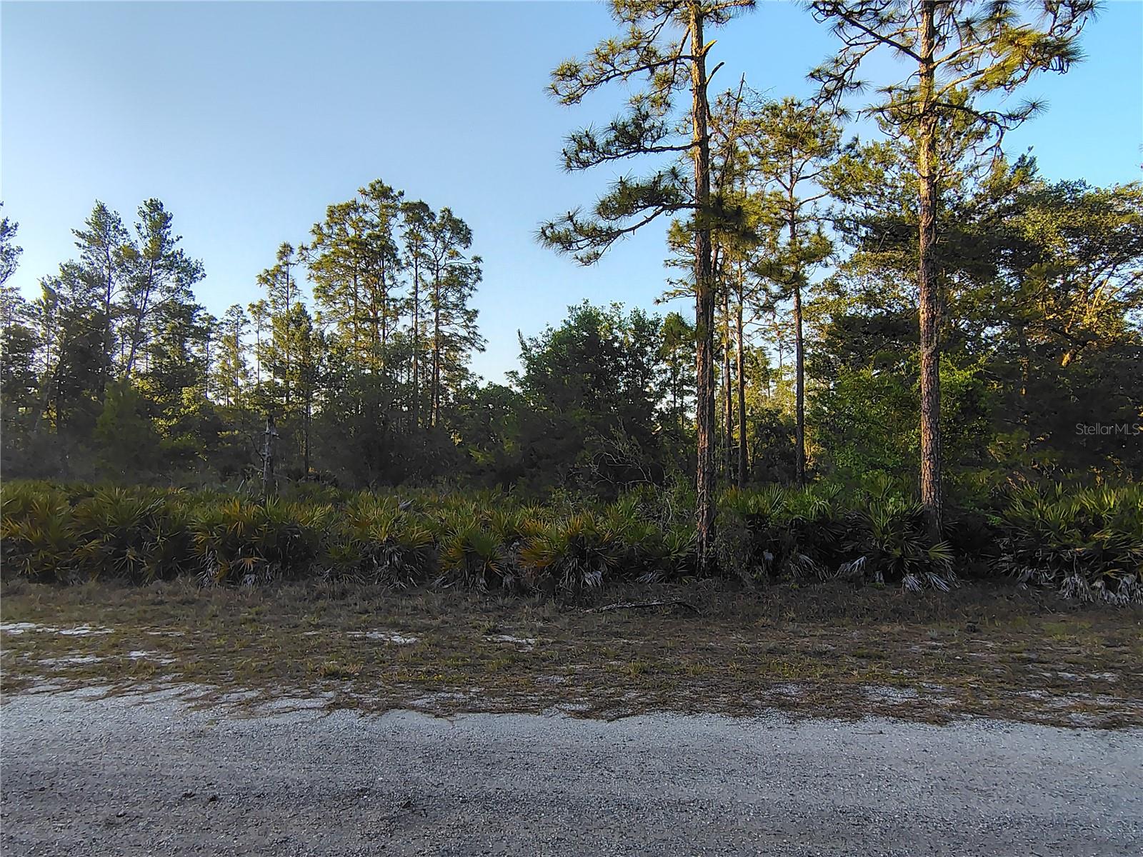 1108 TROPICANA DR, INDIAN LAKE ESTATES, FL, 33855