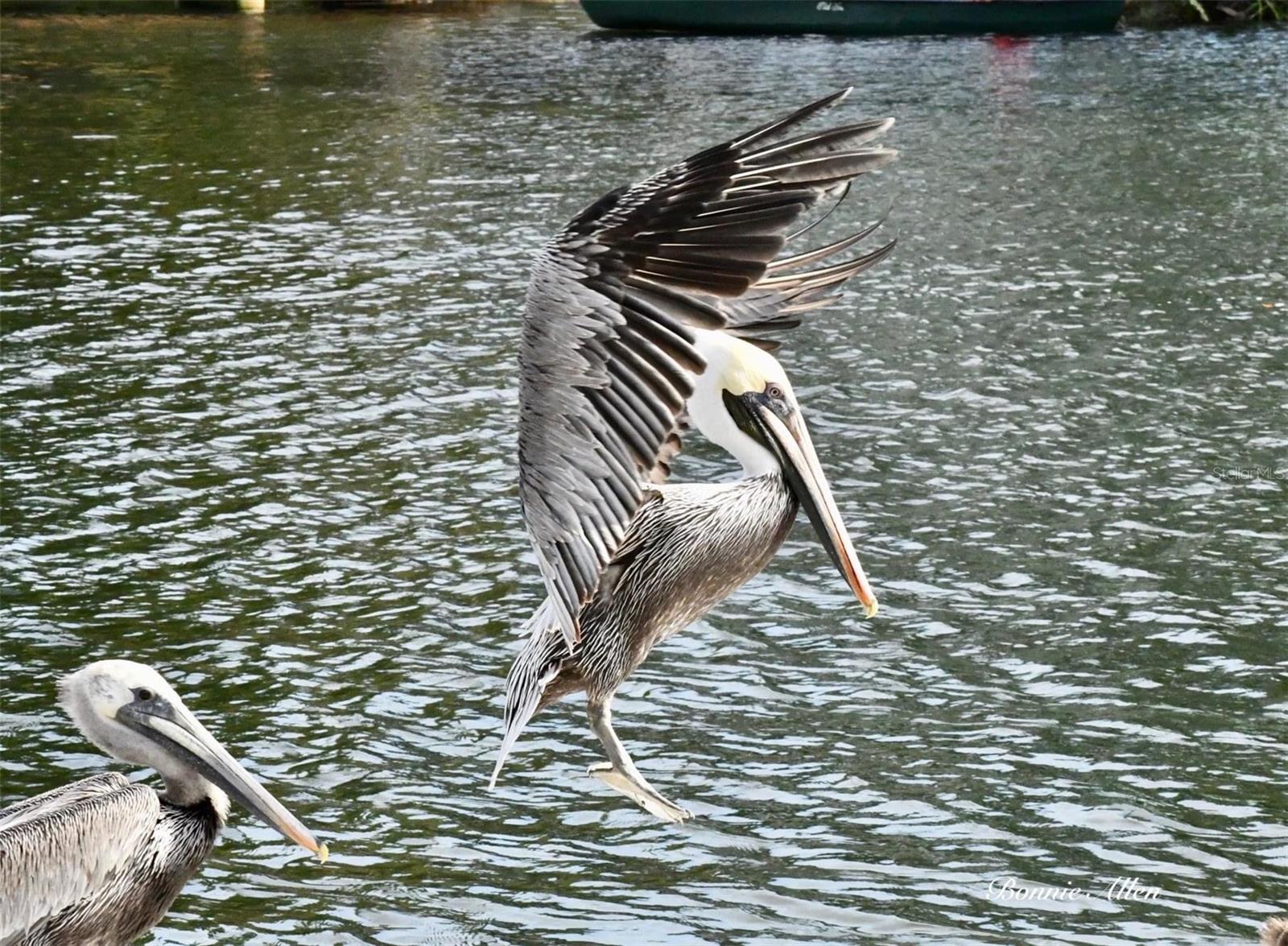 13018 BUOY CT, HUDSON, FL, 34667