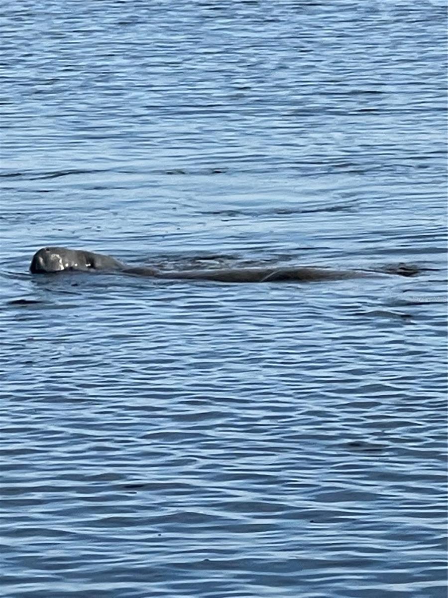 13018 BUOY CT, HUDSON, FL, 34667