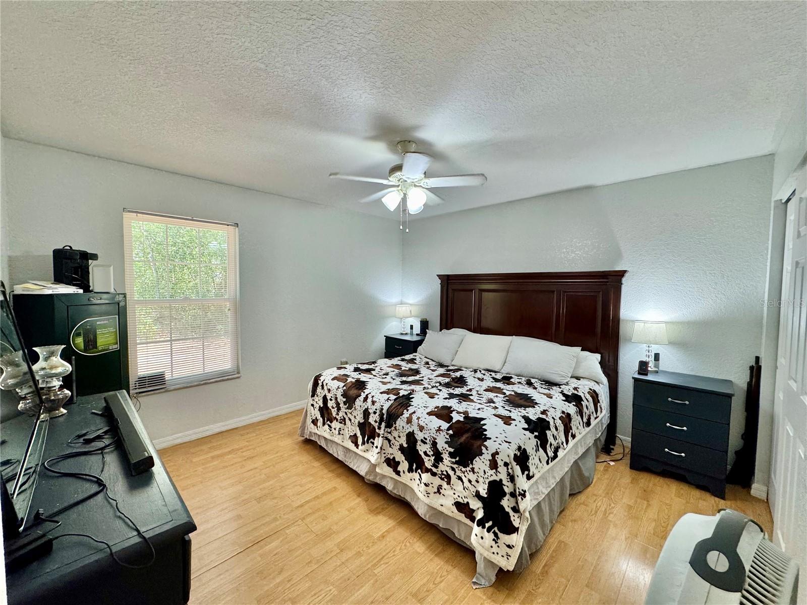 40226 PALM ST, LADY LAKE, FL, 32159