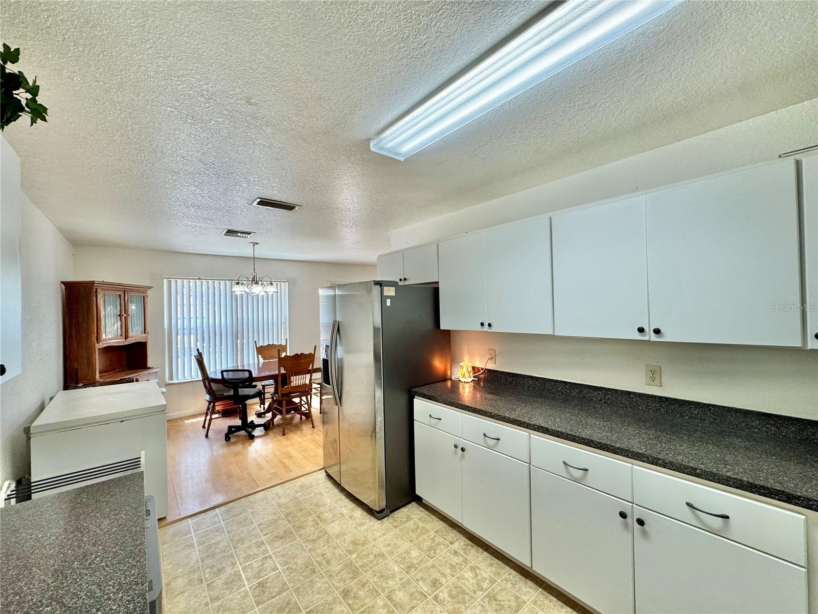 40226 PALM ST, LADY LAKE, FL, 32159