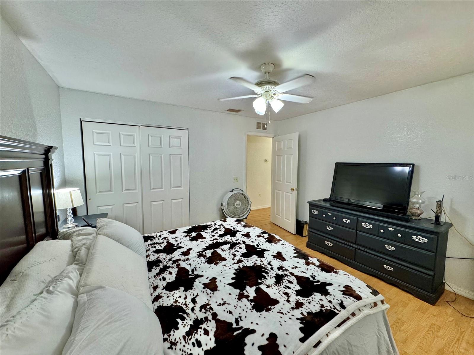 40226 PALM ST, LADY LAKE, FL, 32159