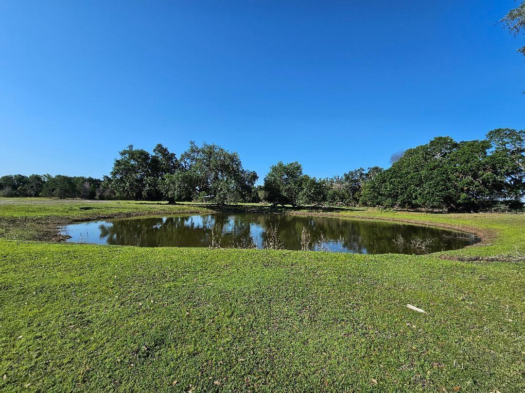 ARENA RD, DADE CITY, FL, 33523