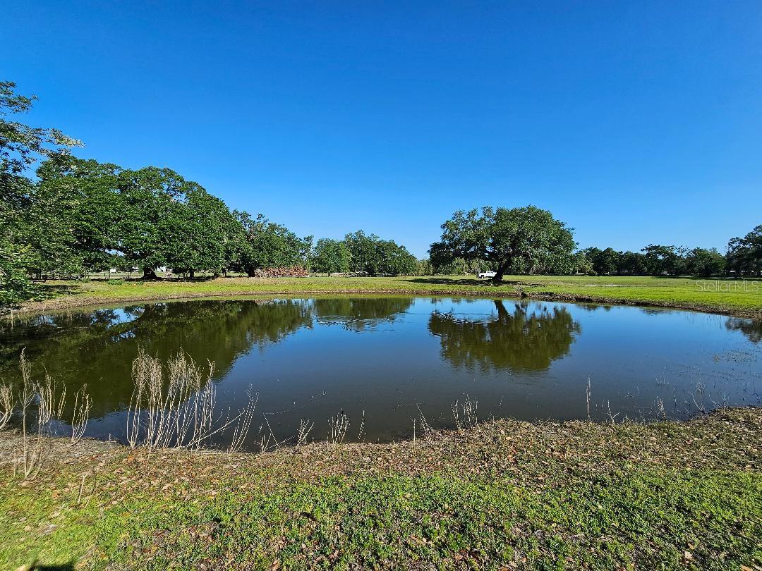 ARENA RD, DADE CITY, FL, 33523